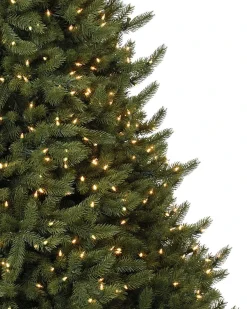 Best Vermont White Spruce® Trees 7 - 7.5 Feet|Pre-Lit