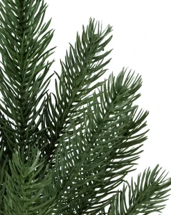 Best Vermont White Spruce® Trees 7 - 7.5 Feet|Pre-Lit