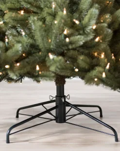 Best Vermont White Spruce® Trees 7 - 7.5 Feet|Pre-Lit