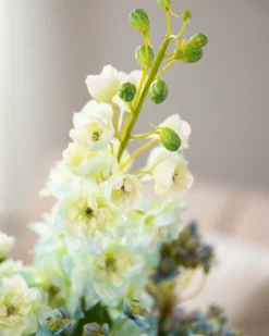 Online Viola Flower Foliage Flower Arrangements