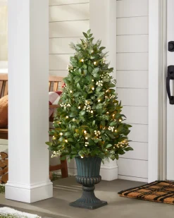 Discount White Berry Cypress Potted Tree Outdoor Safe
