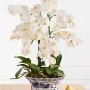Sale White Phalaenopsis Orchids Foliage Flower Arrangements|Topiaries & Potted Flowers