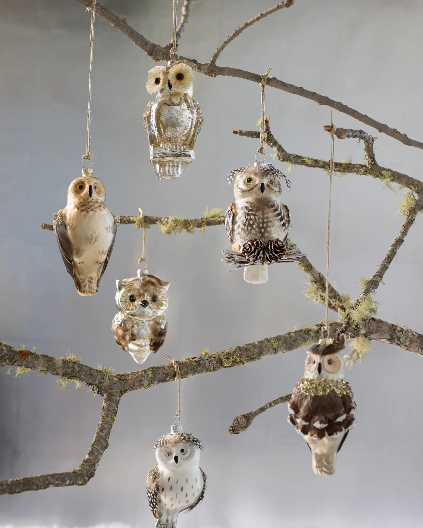 Online Woodland Glass Ornament Collection Ornaments