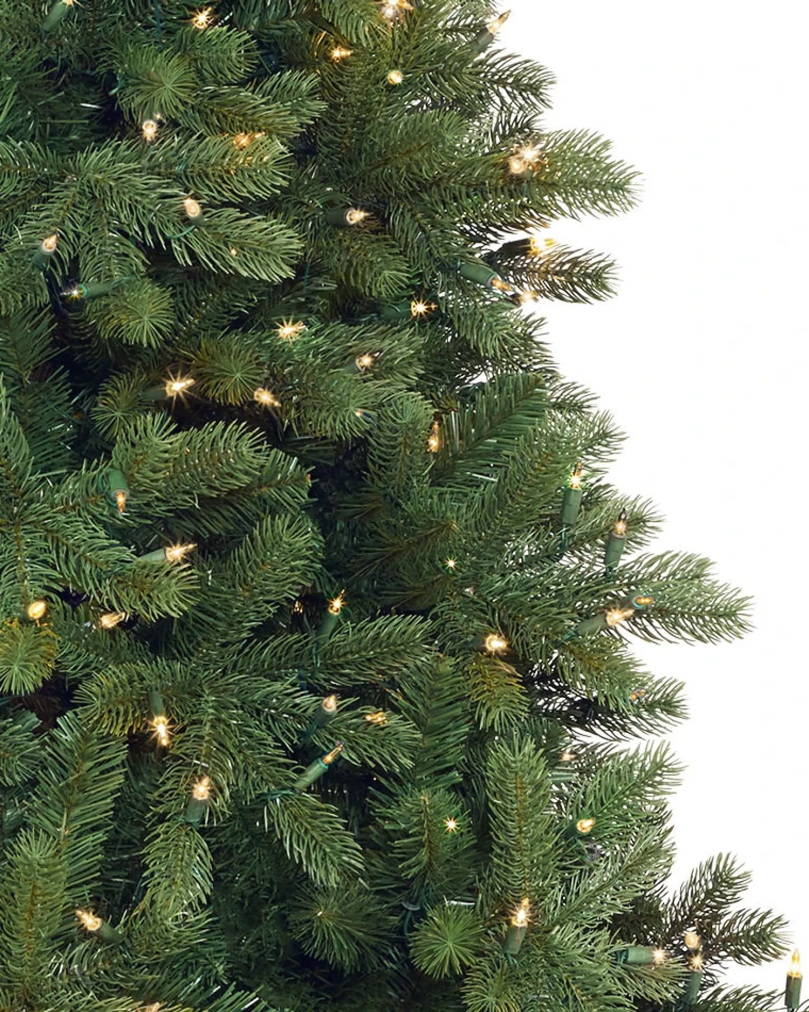 Online Woodland Spruce Trees 7 - 7.5 Feet|6 - 6.5 Feet