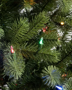 Online Woodland Spruce Trees 7 - 7.5 Feet|6 - 6.5 Feet