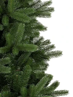 Online Woodland Spruce Trees 7 - 7.5 Feet|6 - 6.5 Feet