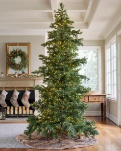 Online Yukon Spruce® ReNEW™ 7 - 7.5 Feet|Pre-Lit