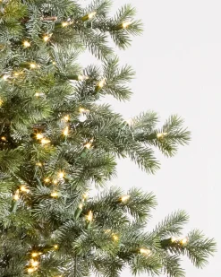 Discount Yukon Spruce® Trees 7 - 7.5 Feet|Pre-Lit